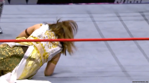 Click to view full size image
==============
wowcollision20240914_00_00_34_00_Still163.jpg wowcollision20240914_00_00_34_00_Still163.jpg