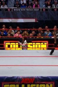 wowcollision20250104_00_04_07_20_Still350.jpg