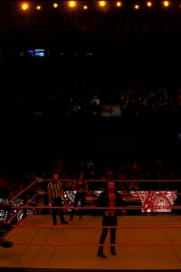 wowcollision20250118_00_00_10_05_Still002.jpg