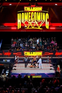 wowcollision20250125_00_00_35_25_Still088.jpg