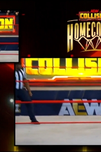 wowcollision20250125_00_00_36_25_Still089.jpg