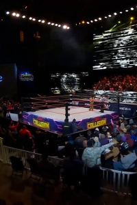 wowcollision20250125_00_01_39_15_Still124.jpg