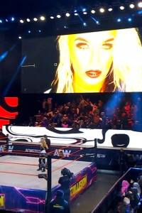 wowcollision20250125_00_02_38_05_Still178.jpg