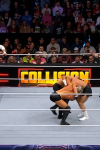 wowcollision20250201_00_00_33_10_Still082.jpg
