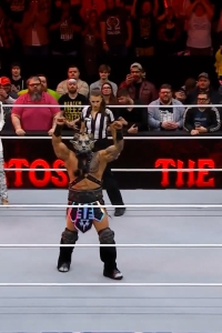 wowcollision20250201_00_00_52_05_Still106.jpg