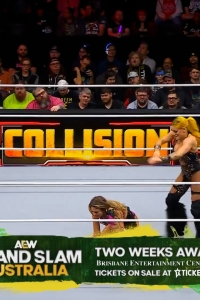 wowcollision20250201_00_02_24_05_Still183.jpg