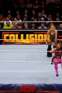 wowcollision20250201_00_02_29_00_Still212.jpg