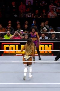 wowcollision20250201_00_04_34_05_Still504.jpg