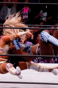 wowcollision20250201_00_04_40_05_Still527.jpg