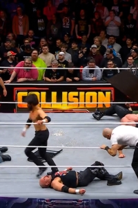 wowcollision20250201_00_05_39_25_Still608.jpg