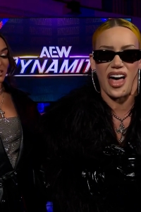 wowdynamite20250129_00_05_04_00_Still201.jpg