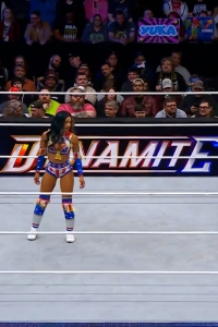 wowdynamite20250129_00_05_25_00_Still313.jpg
