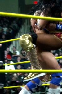 wowimpact20250123_00_00_01_25_Still008.jpg
