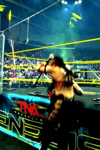 wowimpact20250123_00_00_07_20_Still017.jpg