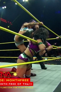 wowimpact20250130_00_01_01_20_Still114.jpg