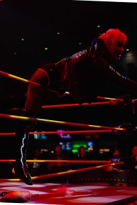 TNAiMPACT2504_LIVE_AshByElegence_HeatherByElegence_Rosemary_vs_Spitfire_MashaSlamovich-WM-15.jpg