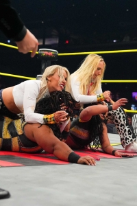 TNAiMPACT2507_KingBees_vs_AshByElegance_HeatherByElegance-WM-35.jpg