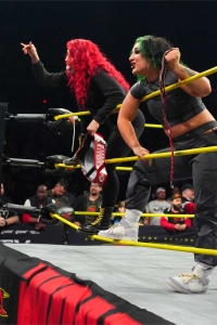 TNAiMPACT2507_KingBees_vs_AshByElegance_HeatherByElegance-WM-39.jpg