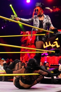 TNAiMPACT2513_Ash_Heather_ByElegance_vs_GigiDolin_TatumPaxley-WM-12.jpg