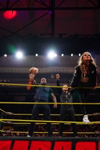 TNAiMPACT2513_InRingPromo_TheSystem-WM-4.jpg