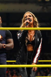 TNAiMPACT2513_InRingPromo_TheSystem-WM-5.jpg