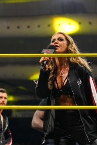 TNAiMPACT2513_InRingPromo_TheSystem-WM-6.jpg