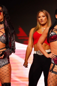TNAiMPACT2514_JacyJayne_JazmynNyx_TessaBlanchard_w-_FallonHenley_vs_LeiYingLee_XiaBrookside_MashaSlamovich-WM-3.jpg