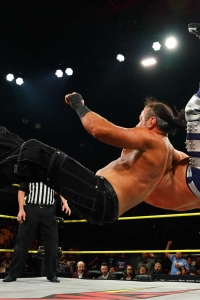 TNAiMPACT2514_TheHardys_vs_TheGreatHands_w-_TashaSteelz_SantinoMarella-WM-48.jpg