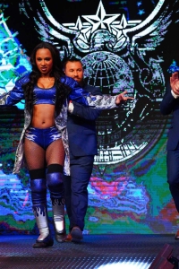 TNAiMPACT2523_IndiHartwell_vs_TashaSteelz_w-_TheGreatHands_MustafaAli-WM-4.jpg