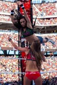 Filename=093_WM31_03292015cm_3580.jpg
Filesize=2036KiB
Dimensions=1600x1600
Date added=Oct 24, 2025 093_WM31_03292015cm_3580.jpg