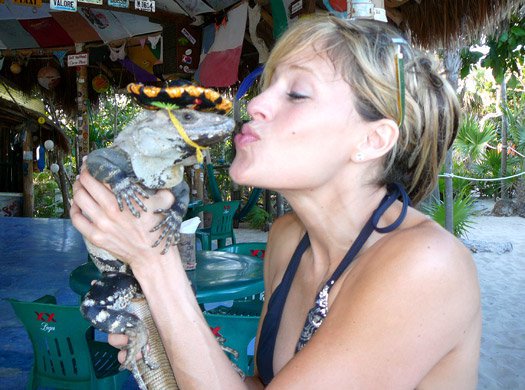 8112676.jpg 8112676.jpg