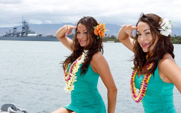 Click to view full size image
==============
15457098.jpg 15457098.jpg