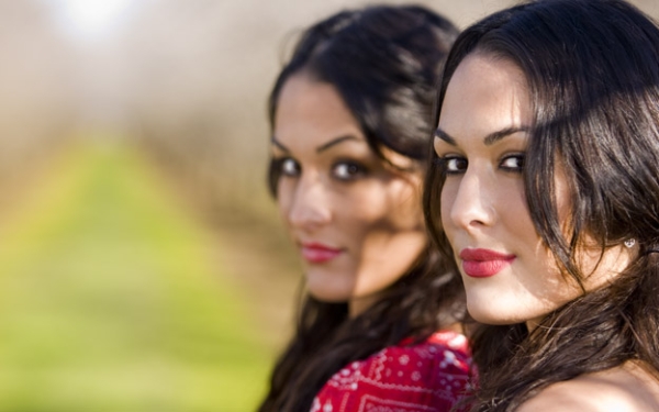 Click to view full size image
==============
22615b.jpg 22615b.jpg