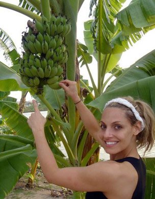 8708972.jpg 8708972.jpg